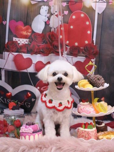 20250220小雪ちゃん